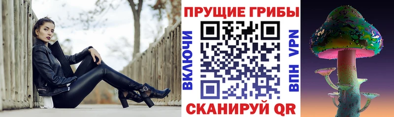 Псилоцибиновые грибы ЛСД  цены наркотик  Великий Устюг 
