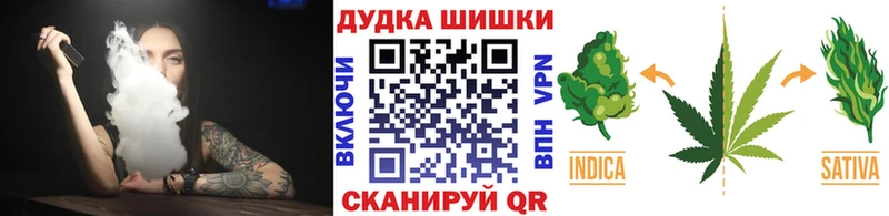 Канабис сатива  Великий Устюг 