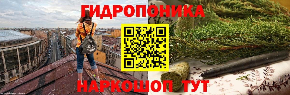 Бошки Шишки тримм Великий Устюг